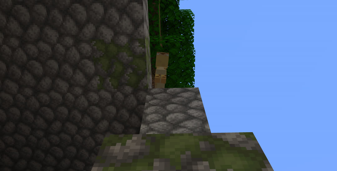 An ocelot atop the partially completed wall.