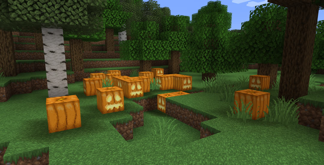 A patch of jack‐o’‐lanterns in a forest.