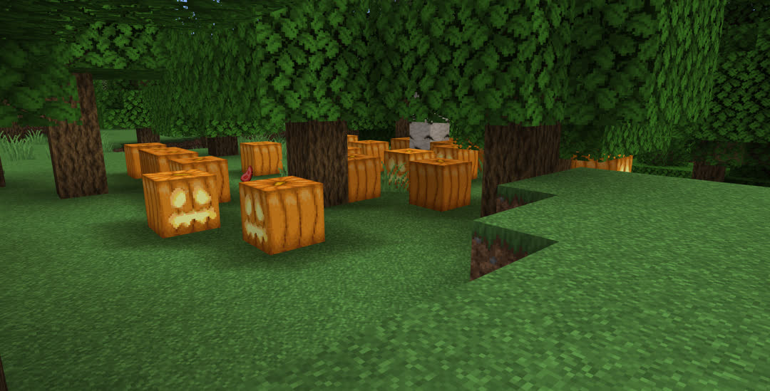 A different patch of jack‐o’‐lanterns in a forest.
