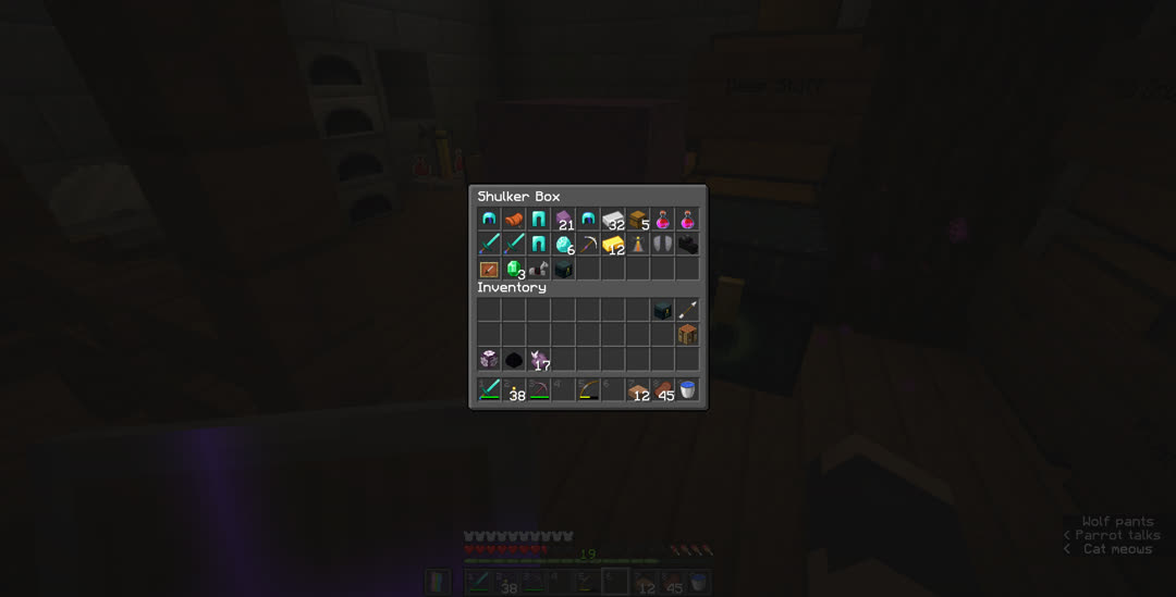 A shulker box containing two each of diamond helmets, leggings, and swords, all enchanted; along with a saddle, 21 shulker shells, 32 iron ingots, five chests, two Instant Health potions, six diamonds, an enchanted iron pick, 12 gold ingots, a brewing stand, a pair of elytra, a dragon head, an item frame, three emeralds, a set of diamond horse armor, and an ender chest. Additionally in my inventory are a chorus flower, 17 chorus fruit, and the dragon egg.