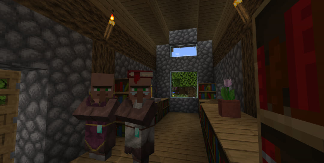 A master cleric and master librarian inside of a library. A potted pink tulip sits on one of the bookshelves.