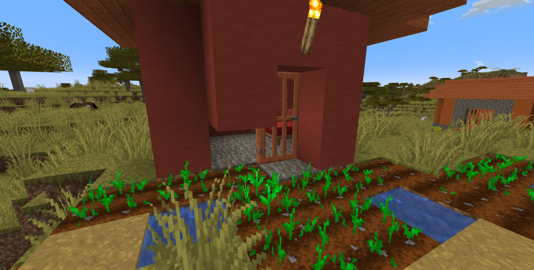 A small terracotta house in a savanna village. One block of the front wall, where the door’s bottom hinge would be connected, is missing, replaced by wheat sprouting from farmland.